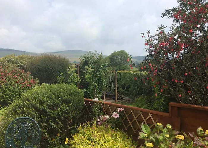 Brynhaul Bed And Breakfast