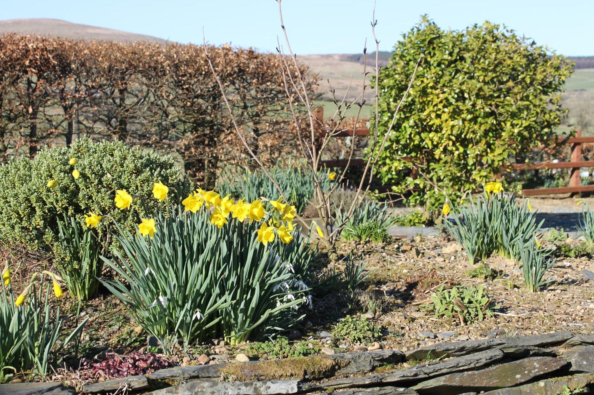 Brynhaul Bed & Breakfast
