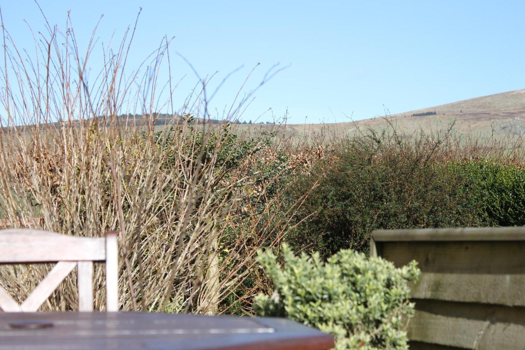 Brynhaul Bed & Breakfast