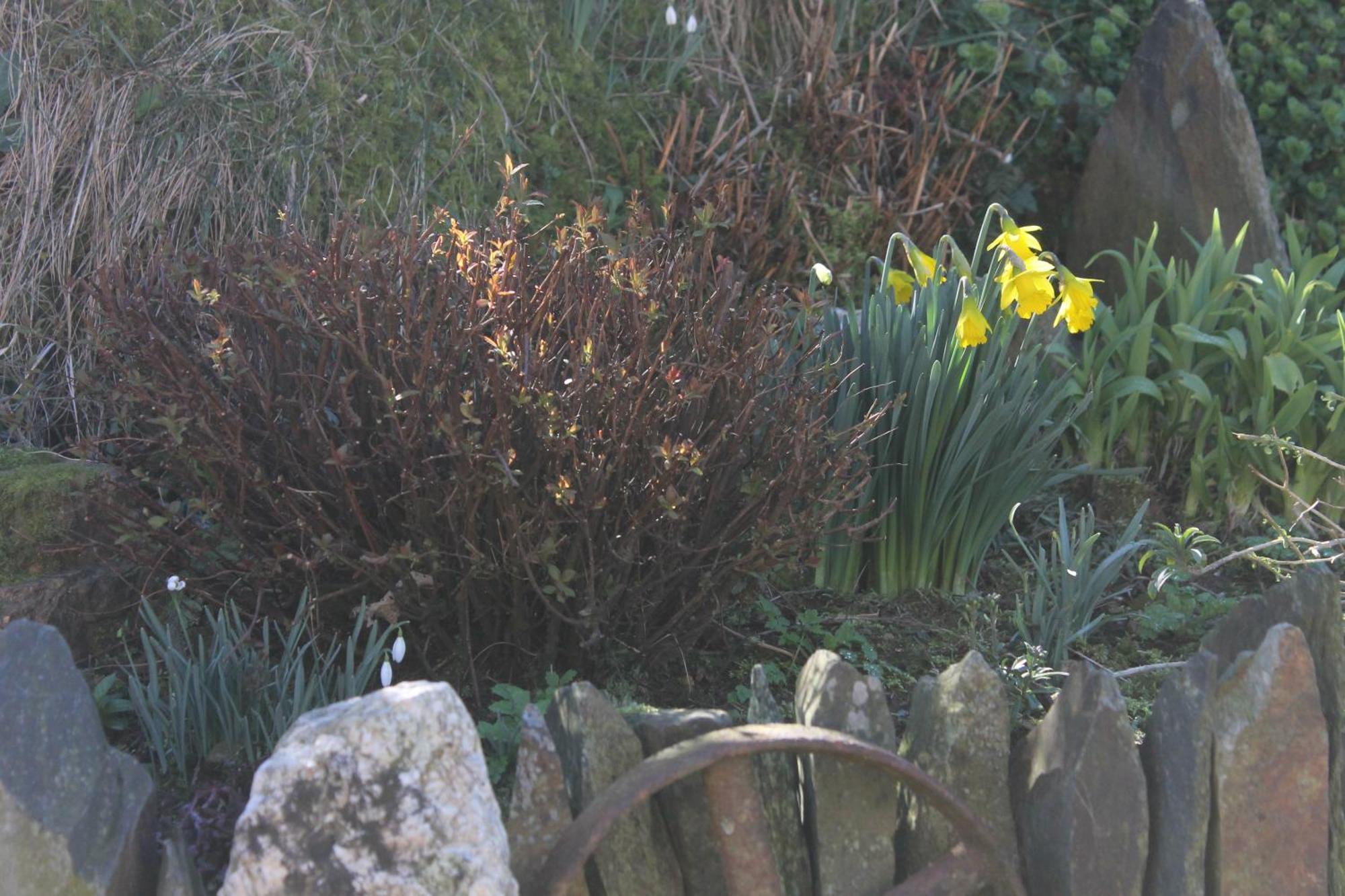 Brynhaul Maenclochog