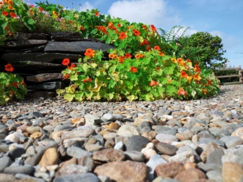 Bed & Breakfast Brynhaul Maenclochog